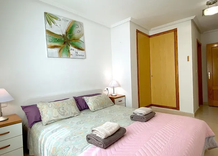 Encantador De Planta Baja * 알리칸테